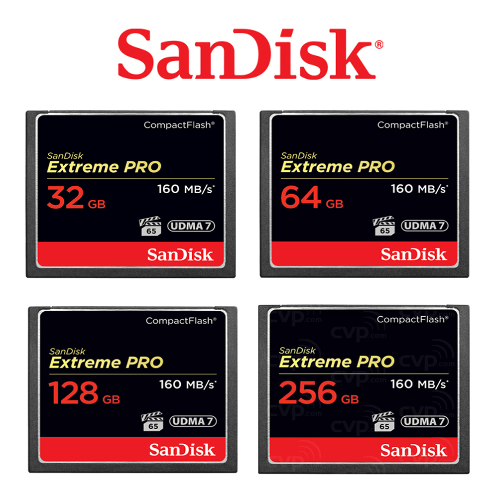 Best Compact Flash Cards Our Top Storage Solution Choices For 